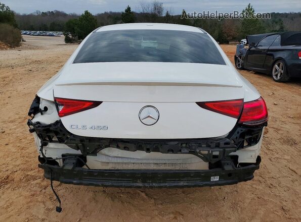 W1K2J5JB6LA072201 2020 MERCEDES-BENZ CLS-CLASS Белый Вид сзади
