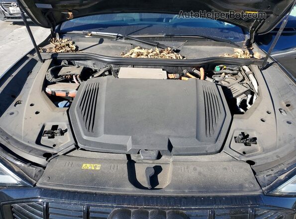 WA11AAGE8MB007436 2021 AUDI E-TRON Черный Вид подкапотного пространства