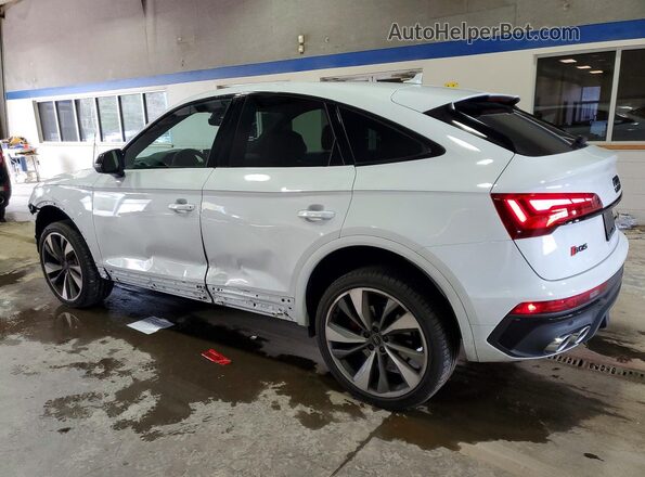 WA124AFY1R2099987 2024 AUDI SQ5 White Trasero izquierdo