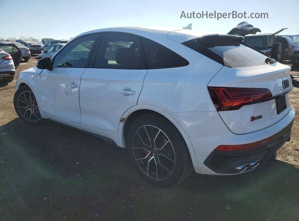WA124AFY3P2070651 2023 AUDI SQ5 White Tył lewy