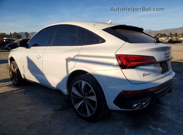 WA124AFY7R2147248 2024 AUDI SQ5 White Հետևի ձախ