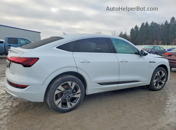 WA12AAGE6NB013225 2022 AUDI E-TRON Белый Задняя правая четверть