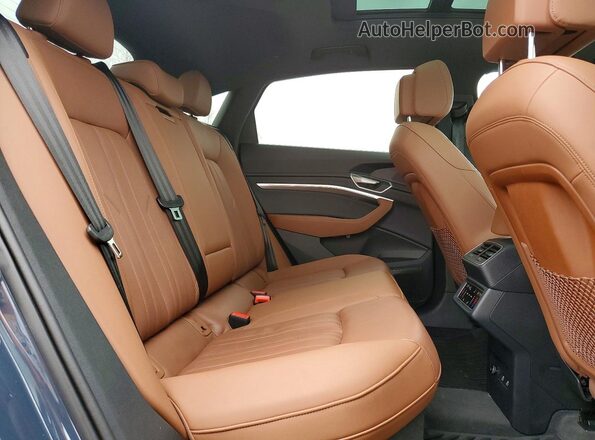 WA12AAGE9NB021996 2022 AUDI E-TRON Синий Вид задней части салона