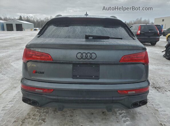 WA134AFY1P2070913 2023 AUDI SQ5 Gray Widok z tyłu