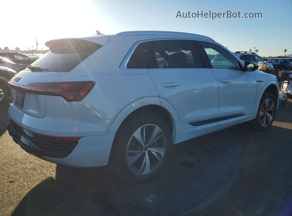 WA15AAGE3RB033791 2024 AUDI Q8 White Tył prawy
