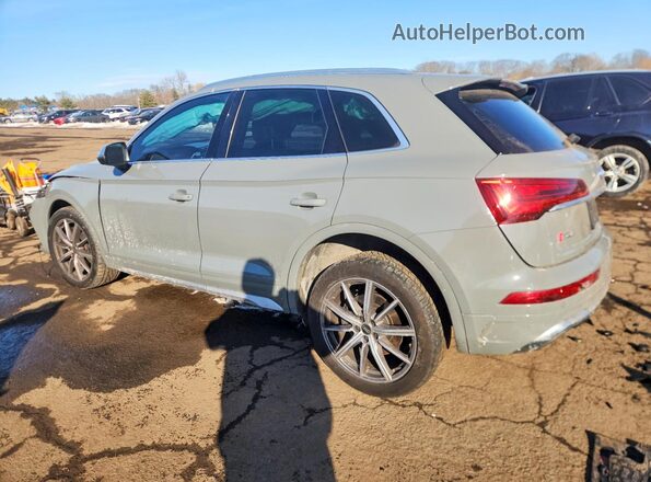 WA1A4AFY7N2046443 2022 AUDI SQ5 Белый Задняя левая четверть