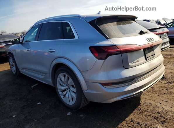 WA1ACBGE9NB043993 2022 AUDI E-TRON Silver Tył lewy