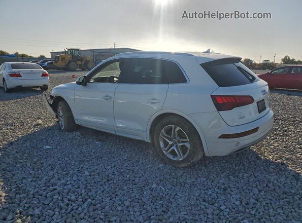 WA1ANAFY2K2056497 2019 AUDI Q5 White Հետևի ձախ