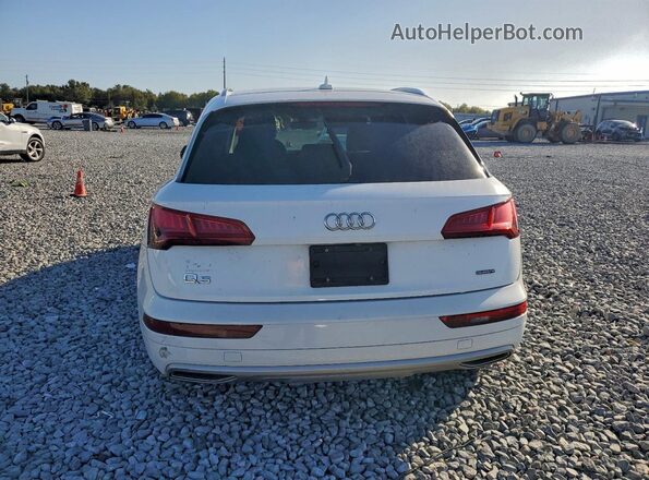WA1ANAFY2K2056497 2019 AUDI Q5 White Հետևի տեսք