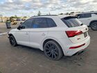 2024 Audi Sq5 Premium Plus White vin: WA1B4AFYXR2007226