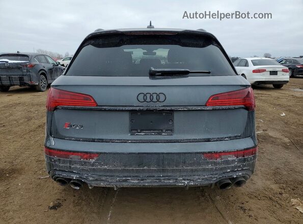 WA1C4AFY3R2024115 2024 AUDI SQ5 Gray Widok z tyłu