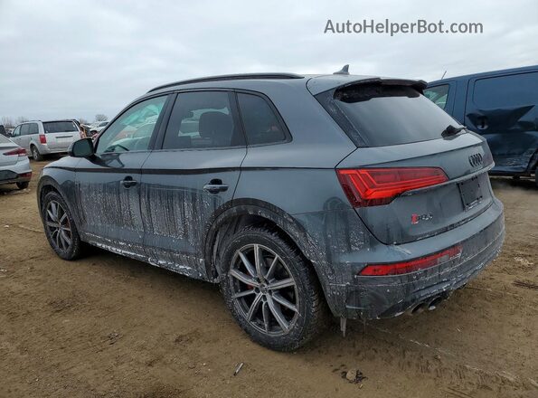 WA1C4AFY3R2024115 2024 AUDI SQ5 Gray Tył lewy