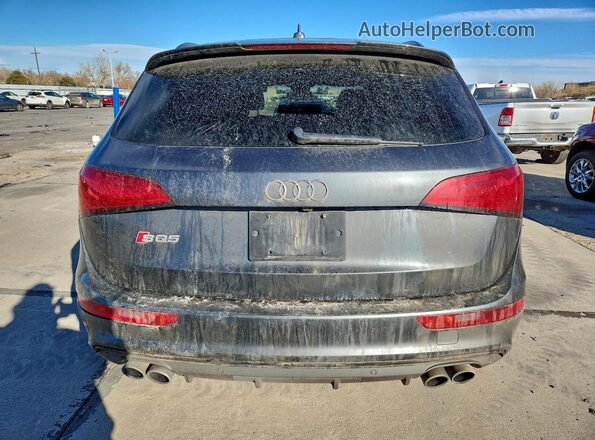 WA1CCAFP8GA122201 2016 AUDI SQ5 Gray Widok z tyłu