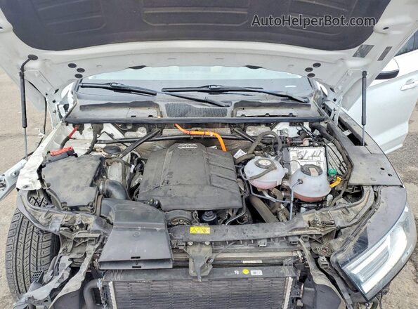 WA1G2AFY9L2061863 2020 AUDI Q5 Белый Вид задней части салона