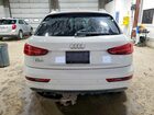 2017 Audi Q3 Premium Plus Белый vin: WA1HCCFS1HR013491