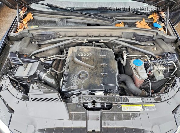 WA1L2AFP4HA045640 2017 AUDI Q5 Blue Սալոնի հետևի տեսք