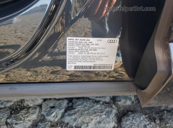 WA1LAAGE0PB024552 2023 AUDI E-TRON Угольный Вид подкапотного пространства
