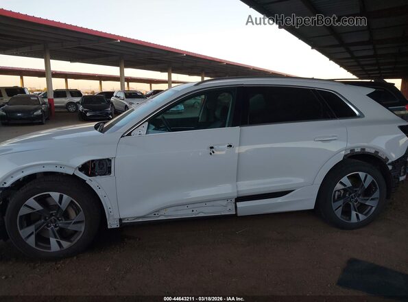 WA1LAAGE8PB018837 2023 AUDI E-TRON Белый 