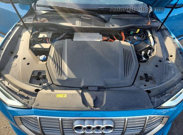 WA1LAAGEXKB009663 2019 AUDI E-TRON Blue უკანა სალონის ხედი
