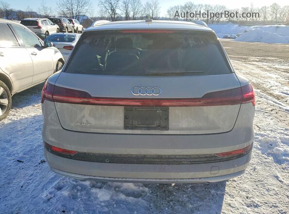 WA1VAAGE1KB014033 2019 AUDI E-TRON Серый Вид сзади