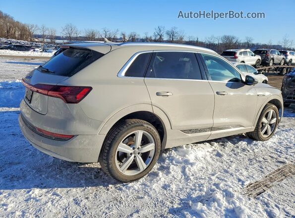 WA1VAAGE1KB014033 2019 AUDI E-TRON Серый Задняя правая четверть