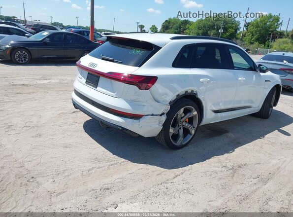 WA1VCBGE5NB033575 2022 AUDI OTHER White Tył prawy