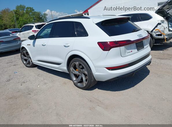 WA1VCBGE5NB033575 2022 AUDI OTHER White Tył lewy