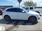 2016 Audi Q5 3.0t Premium Plus White vin: WA1W7AFP8GA037019 2016 Audi Q5 3.0t Premium Plus White vin: WA1W7AFP8GA037019