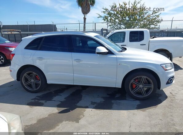 WA1W7AFP8GA037019 2016 AUDI Q5 White Вид задньої частини салону
