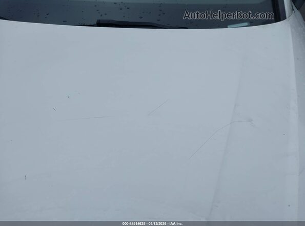 WAUANAF40HN015129 2017 AUDI OTHER Белый Вид спереди