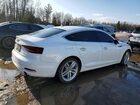 2019 Audi A5 Premium White vin: WAUANCF53KA079619 2019 Audi A5 Premium White vin: WAUANCF53KA079619