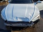 2019 Audi A5 Premium White vin: WAUANCF53KA079619 2019 Audi A5 Premium White vin: WAUANCF53KA079619