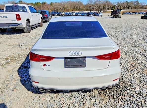 WAUB1GFF6G1046878 2016 AUDI S3 Белый Вид сзади