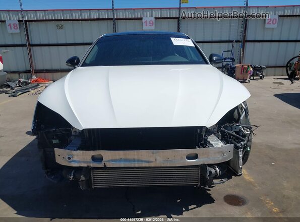 WAUB4CF50KA077656 2019 AUDI S5 Белый Вид задней части салона