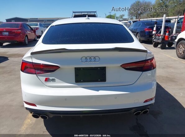 WAUB4CF50KA077656 2019 AUDI S5 Белый 