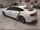 2019 Audi S5 3.0t Premium Белый vin: WAUB4CF56KA099838