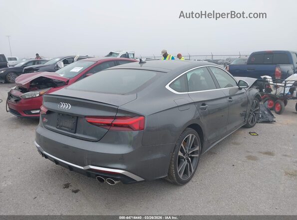 WAUB4CF59PA006589 2023 AUDI S5 Gray Tył prawy