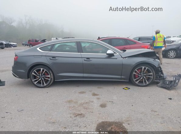 WAUB4CF59PA006589 2023 AUDI S5 Gray Widok wnętrza z tyłu