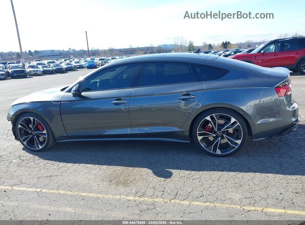 WAUC4CF50NA022441 2022 AUDI S5 Серый 