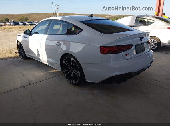WAUC4CF55PA051954 2023 AUDI S5 White Tył lewy