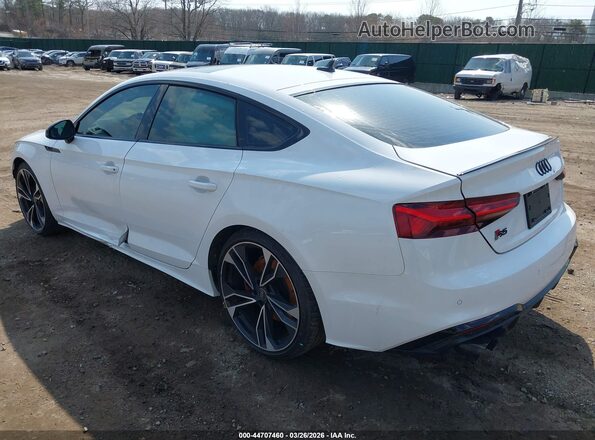 WAUC4CF59SA017024 2025 AUDI S5 Белый Задняя левая четверть