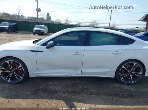 WAUC4CF59SA017024 2025 AUDI S5 Белый 