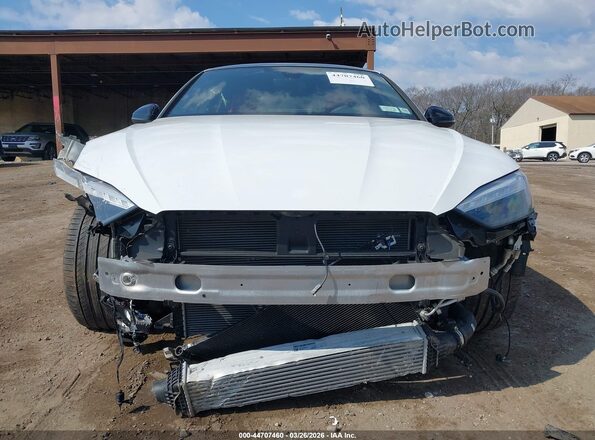 WAUC4CF59SA017024 2025 AUDI S5 Белый Вид задней части салона