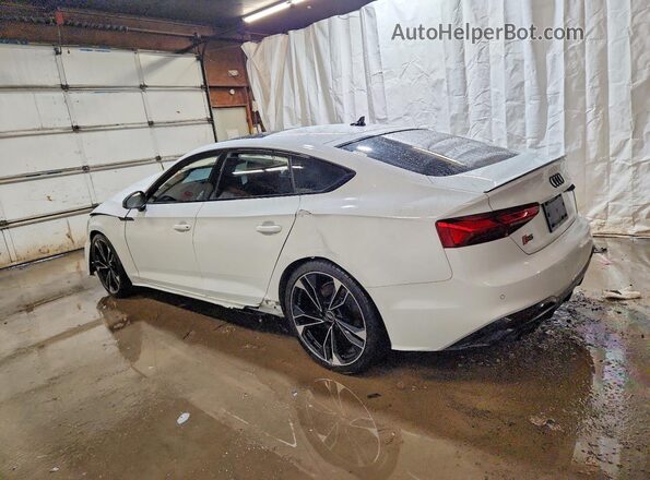 WAUC4CF5XSA014665 2025 AUDI S5 White Задня ліва чверть
