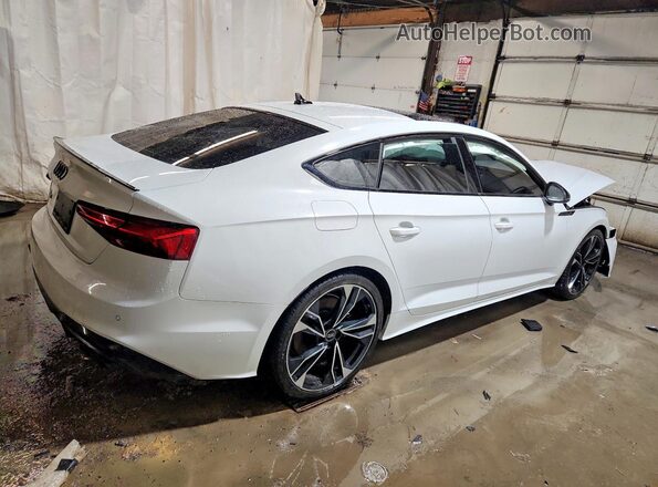 WAUC4CF5XSA014665 2025 AUDI S5 White Задня права чверть