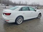 2019 Audi A4 Premium Plus White vin: WAUENAF41KA061116