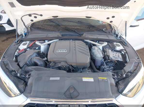 WAUFACF57PA032103 2023 AUDI OTHER Белый Вид сзади