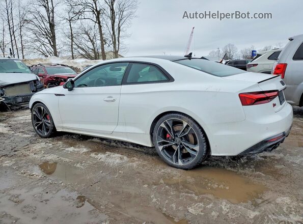 WAUP4AF56RA038736 2024 AUDI S5 Белый Задняя левая четверть