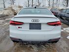2024 Audi S5 Premium Plus Белый vin: WAUP4AF56RA038736