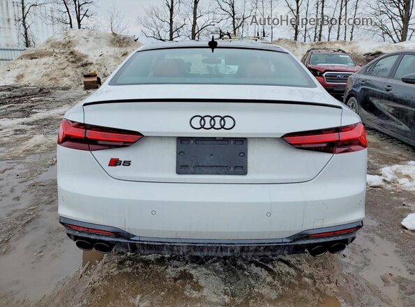WAUP4AF56RA038736 2024 AUDI S5 Белый Вид сзади